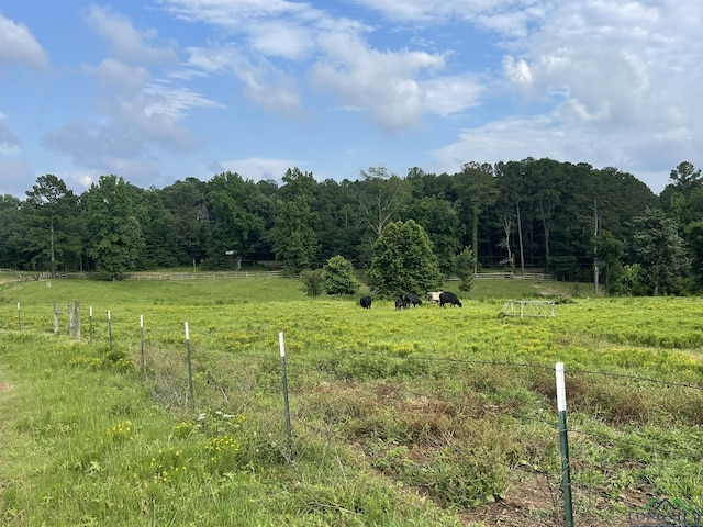 view of yard featuring a rural view