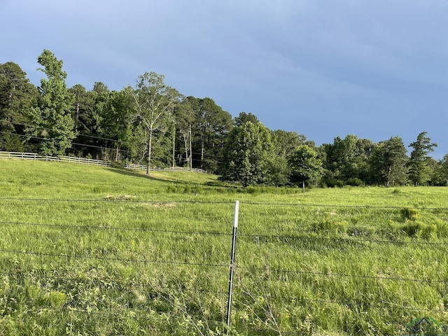 view of yard with a rural view