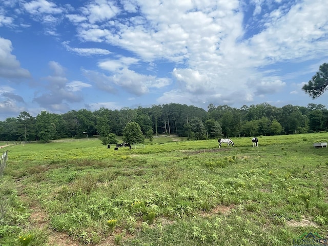 view of nature with a rural view