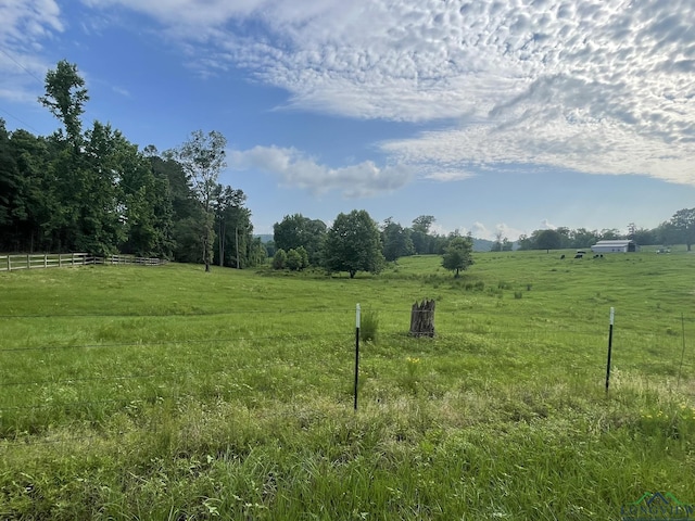 view of yard with a rural view