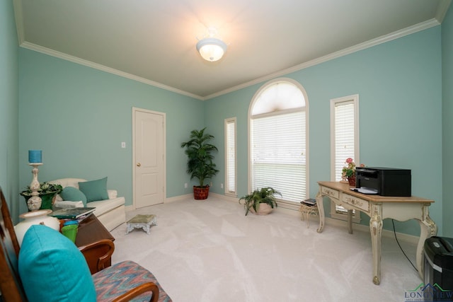 7 Casey Ct, Longview, TX 75604 - carpeted home office with crown molding and baseboards
