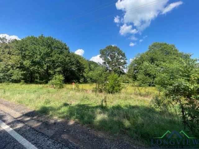 TBD Highway 11 W, Pittsburg, TX 75686