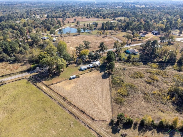 5409 Fm 726, New Diana, TX 75640 - photo 35