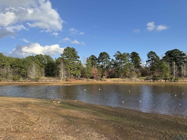 Listing photo 2 for 2879 James Marshall Rd, Marshall TX 75670