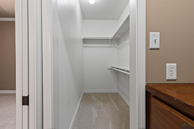 spacious closet featuring carpet floors