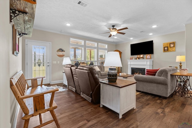 1767 County Road 3840, Hawkins, TX 75765 - living room featuring ceiling fan, ornamental molding, a glass covered fireplace, healthy amount of natural light, and dark wood-type flooring