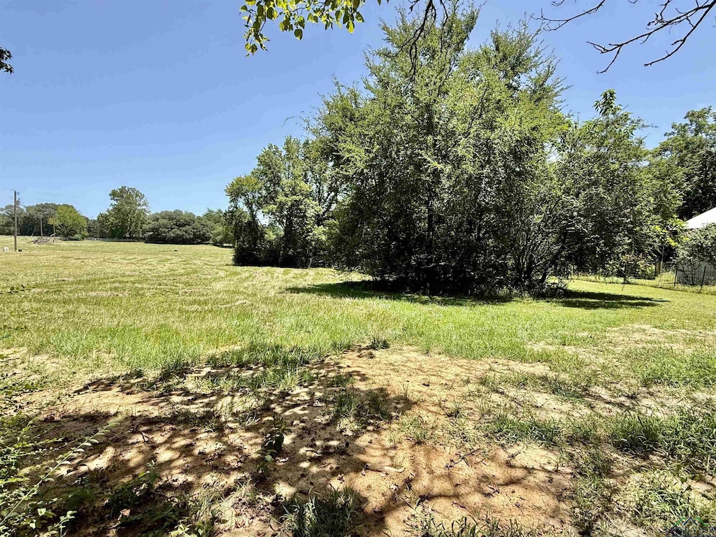 1450 Buchanan Rd, Hallsville, TX 75650 - photo 1