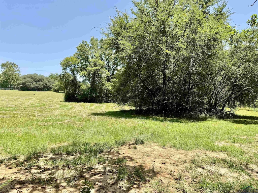 1450 Buchanan Rd, Hallsville, TX 75650 - photo 2