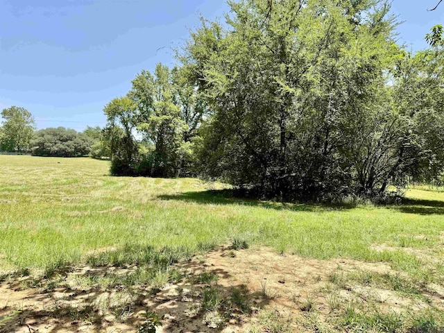 1450 Buchanan Rd, Hallsville, TX 75650 - photo 2