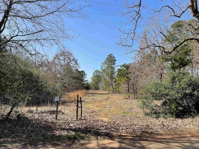 TBD Zinnia Road, Diana TX, 75640 land for sale