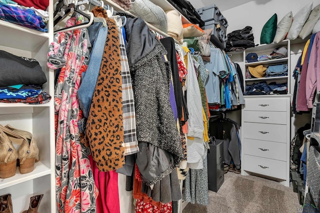 spacious closet with carpet