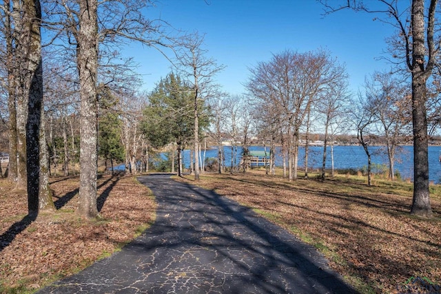 view of street with a water view