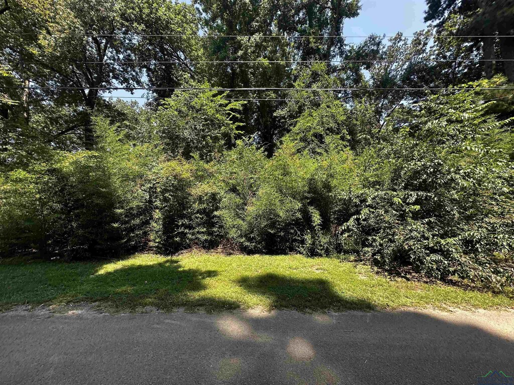 LOT11 Looney Ave, Kilgore, TX 75662 - photo 1