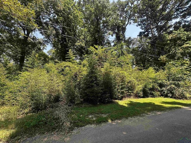 LOT11 Looney Ave, Kilgore, TX 75662 - photo 2