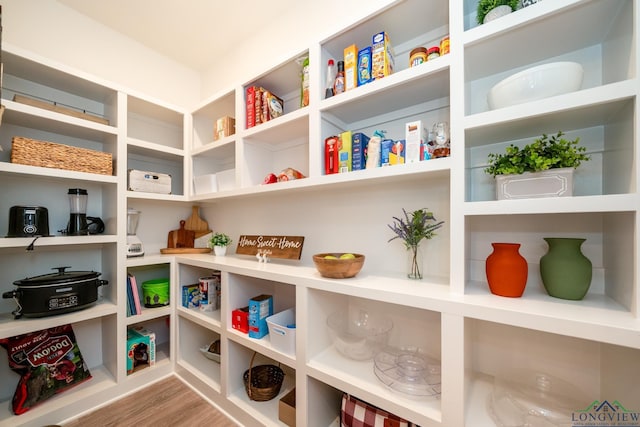 view of pantry