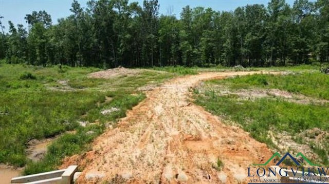 Lot1 Waldron Ferry Estates, Hallsville TX, 75650 land for sale