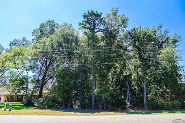 Listing photo 2 for TBD Cupit Rd, Longview TX 75604