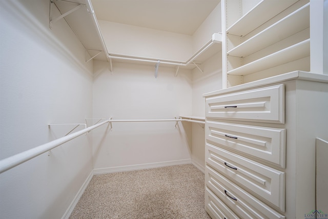 walk in closet with light carpet