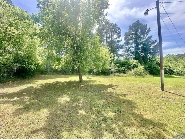 1435 Tom Smith Rd, Harleton, TX 75651 - view of green lawn