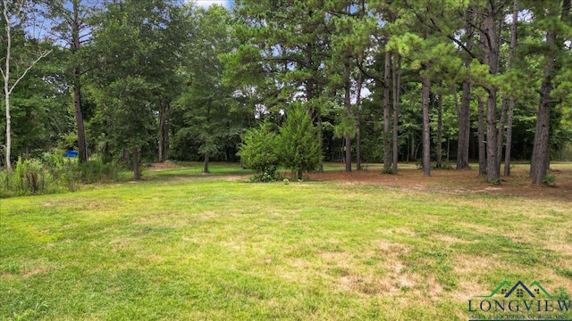 1150 Fm 139, Joaquin, TX 75954 - view of grassy yard