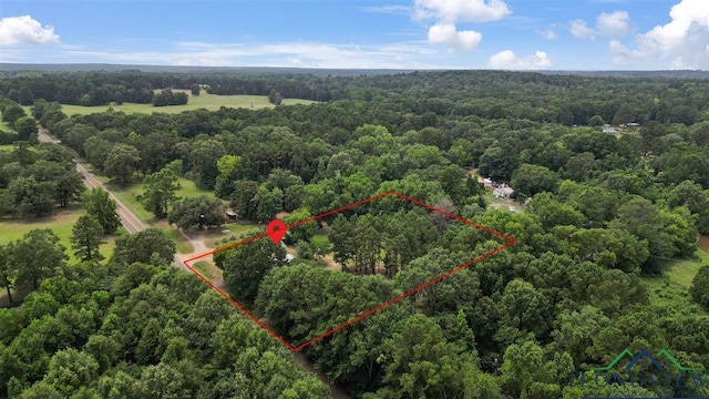 1150 Fm 139, Joaquin, TX 75954 - aerial view of property's location with a heavily wooded area and property boundaries highlighted