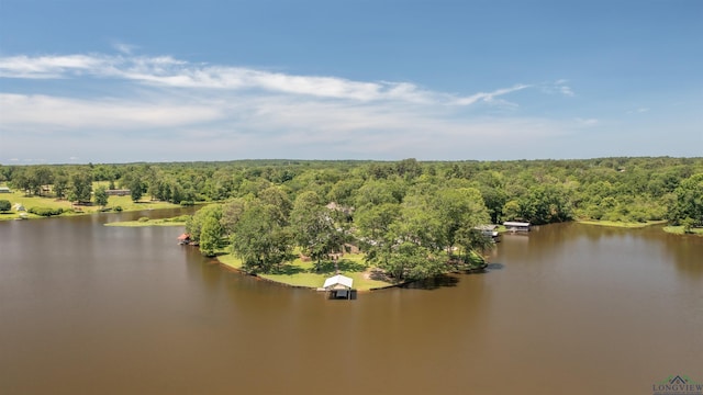 107 Kelly Ct, Marshall, TX 75672 - bird's eye view of a forest and a large body of water