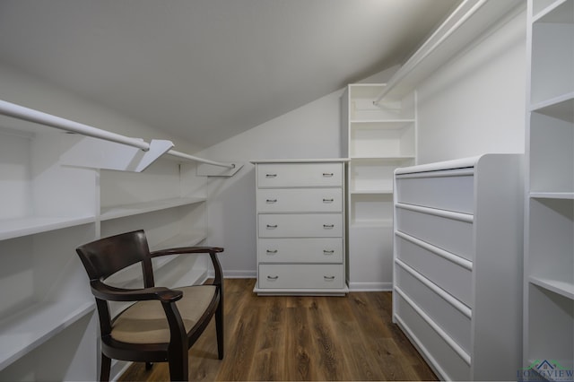 22551 Pine St, Frankston, TX 75763 - walk in closet with lofted ceiling and dark wood finished floors