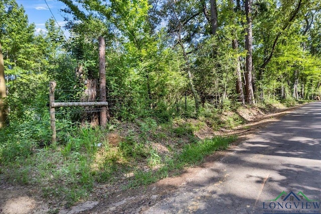 2469 N County Road 222, Henderson, TX 75652 - photo 11