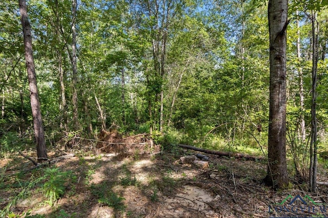 2469 N County Road 222, Henderson, TX 75652 - photo 9