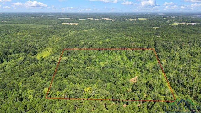 2469 N County Road 222, Henderson, TX 75652 - photo 25