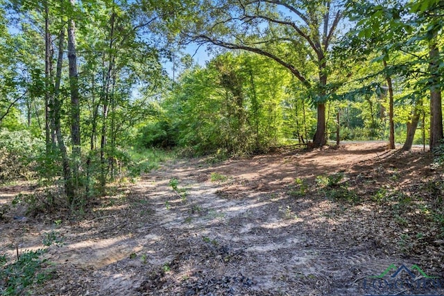 2469 N County Road 222, Henderson, TX 75652 - photo 7