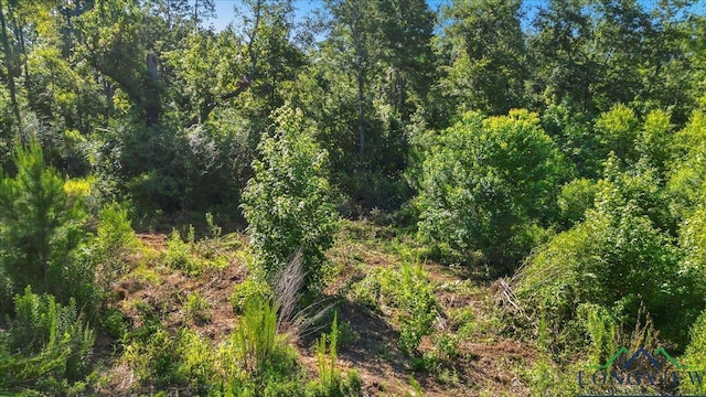 2469 N County Road 222, Henderson, TX 75652 - photo 20