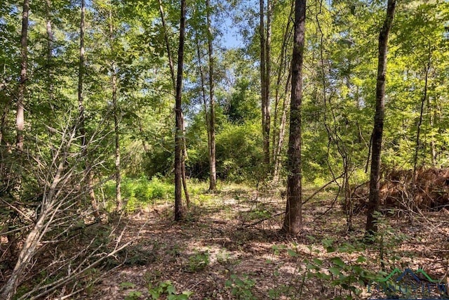 2469 N County Road 222, Henderson, TX 75652 - photo 14
