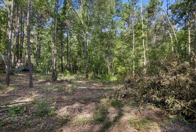 2469 N County Road 222, Henderson, TX 75652 - photo 8