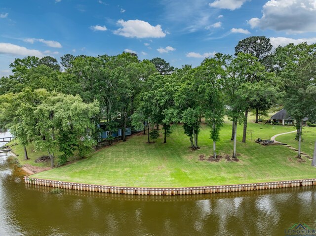 23184 Jeb Cir, Frankston, TX 75763 - photo 11