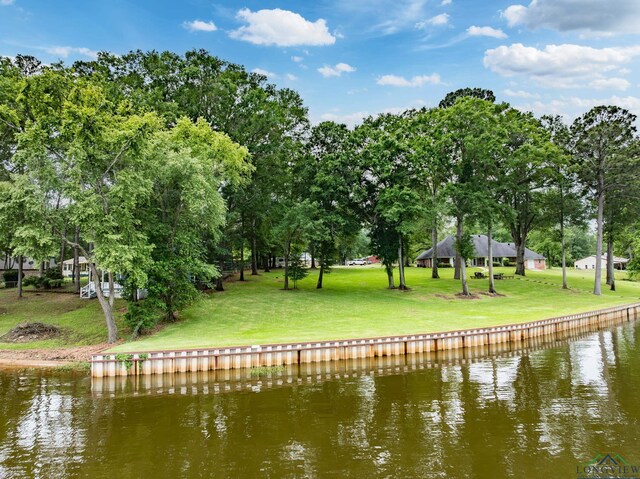 23184 Jeb Cir, Frankston, TX 75763 - photo 12
