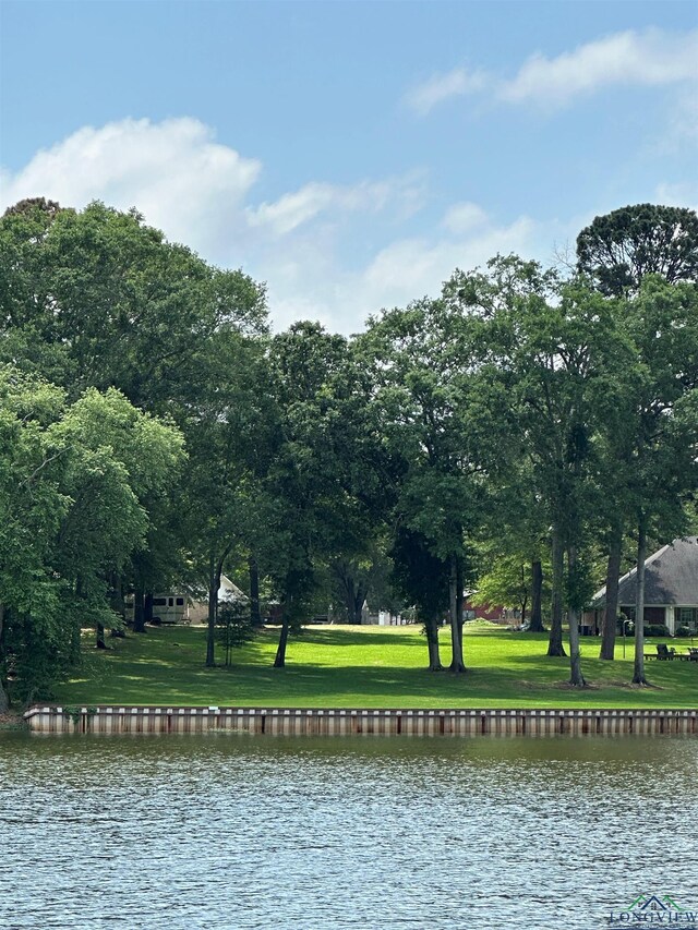 23184 Jeb Cir, Frankston, TX 75763 - photo 21