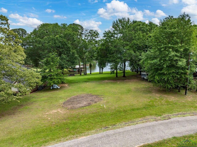 23184 Jeb Cir, Frankston, TX 75763 - photo 3