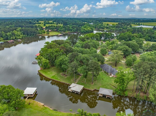 23184 Jeb Cir, Frankston, TX 75763 - photo 10