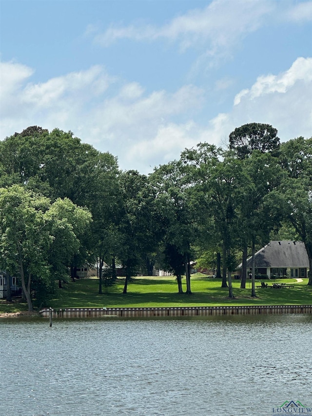 23184 Jeb Cir, Frankston, TX 75763 - photo 20