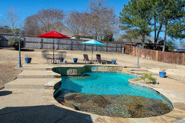 view of pool featuring a patio area