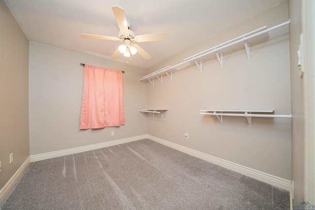 115 Labrador Ln, Hallsville, TX 75650 - photo 14