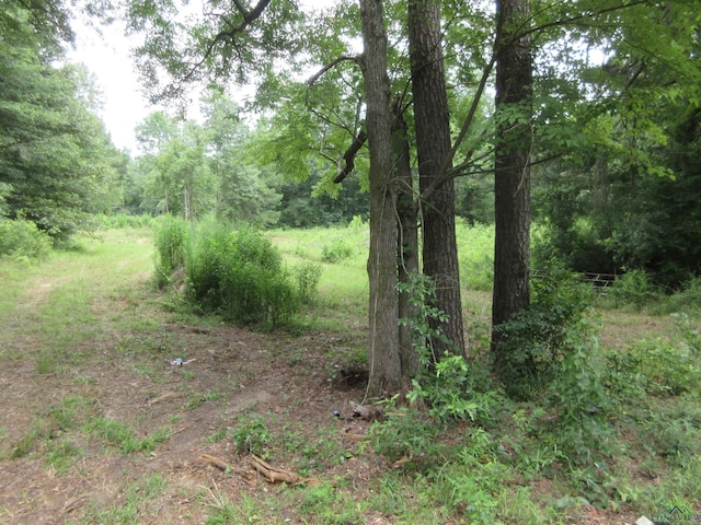 tbd Sego Lily, Diana, TX 75640 - photo 4
