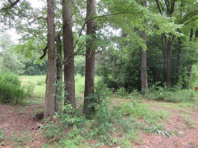 tbd Sego Lily, Diana, TX 75640 - photo 3