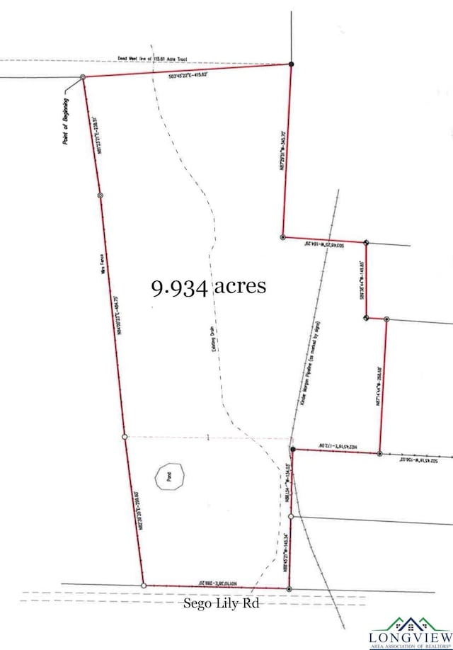 tbd Sego Lily, Diana, TX 75640 - photo 2