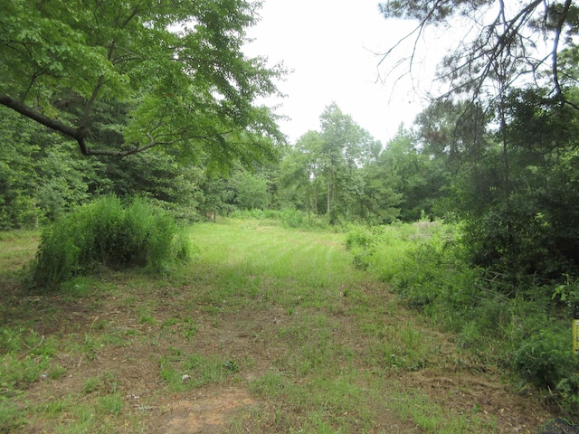 tbd Sego Lily, Diana, TX 75640 - photo 7