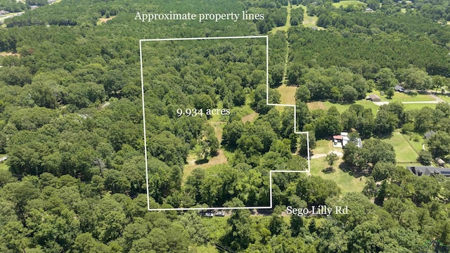 tbd Sego Lily, Diana, TX 75640 - photo 10