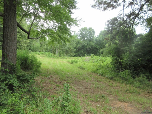 tbd Sego Lily, Diana, TX 75640 - photo 8