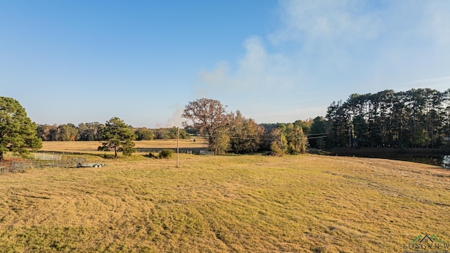 view of yard featuring a rural view