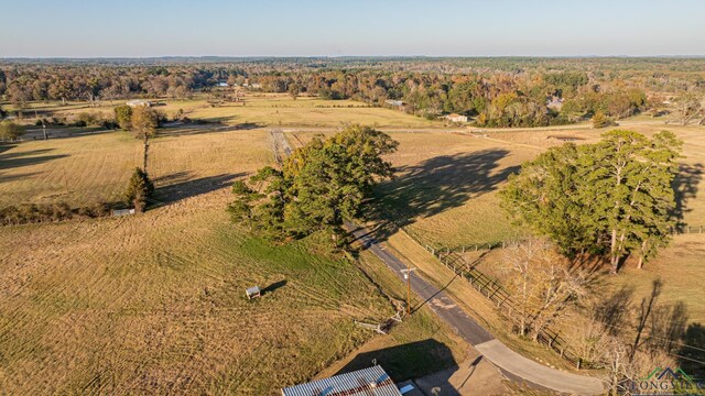 11435 Fm 968 W, Hallsville, TX 75602 - photo 41